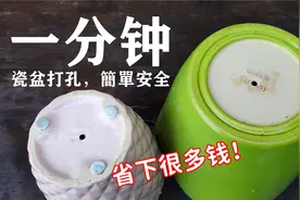 如何给陶瓷盆打孔，无需特殊工具，安全又快速！省下不少花盆钱