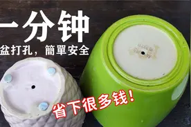 如何给陶瓷盆打孔，无需特殊工具，安全又快速！省下不少花盆钱视频封面