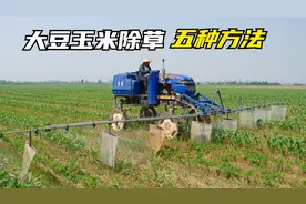 大豆玉米除草，5种喷除草剂方法对比，效果一目了然视频封面
