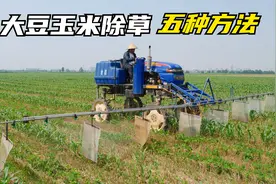 大豆玉米除草，5种喷除草剂方法对比，效果一目了然视频封面