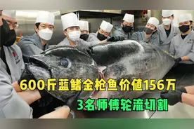 600斤蓝鳍金枪鱼价值156万，3名师傅轮流切割，一刀下去工资没了视频封面