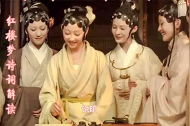 2.16红楼梦诗词：林黛玉《咏白海棠》解读视频封面