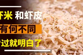 虾米和虾皮有什么区别，看过就知道了视频封面