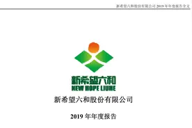 新希望2019年报（20200831第76期）视频封面
