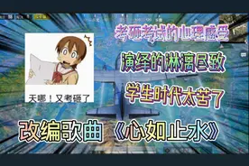 改编歌曲《心如止水》，考砸考试的感受演绎的淋漓尽致，学生太难