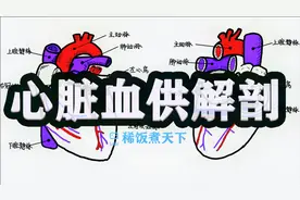 【医学解剖学 心脏】图画心脏的血液供应视频封面