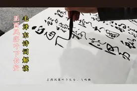 11.4毛泽东诗词《满江红和郭沐若》解读，反霸权主义的动员令视频封面