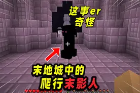 我的世界：隐藏在末地城堡内的爬行末影人！