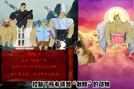 李富贵冬游养殖场（下）视频封面