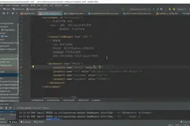 MyBatis的配置文件详解：全局配置-properties（第六章）视频封面
