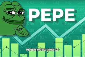 PEPE币暴涨1000%！它有哪些风险？PEPE的代币经济学解读视频封面