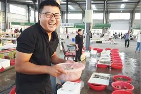 教你一招分辨养殖梭子蟹和野生梭子蟹，一看就懂，海鲜知识很简单