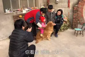 婆婆让宝宝坐在狗狗身上当马骑，毛孩子会有啥反应，让老人很欣喜视频封面