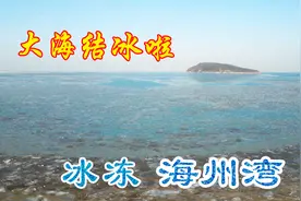 寒潮来袭，大海都冻住了，连云港海州湾出现大面积冰凌奇观视频封面