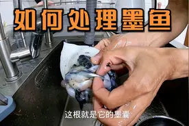 墨鱼该怎么处理呢，安子教教你，其实很简单