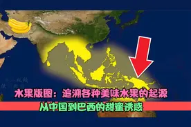 水果版图：追溯各种美味水果的起源，从中国到巴西的甜蜜诱惑