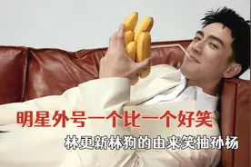 明星外号有多好笑，林更新林狗的由来笑抽孙杨，杜江外号也能传承视频封面