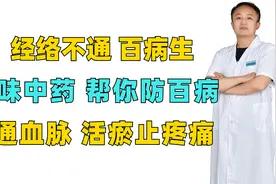经络不通，百病生，一味中药，帮你防百病，通血脉，活瘀止疼痛视频封面