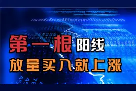 首阳买入法视频封面
