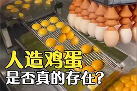 “人造鸡蛋”真能被制造出来吗？看完流水线过程，终于放心了！