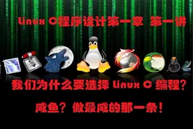 Linux C程序设计第一章第一讲，为何要选择Linux编程？视频封面