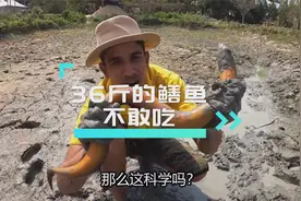 36斤的黄鳝鱼 你敢吃吗？视频封面