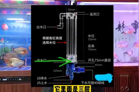 底滤鱼缸的溢流管到底什么样，为什么停掉水泵，不会水漫金山呢？视频封面