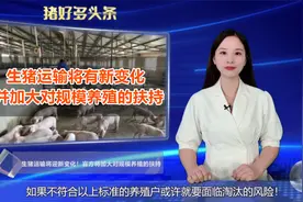 注意：生猪跨省运输将有新变化！官方加大对规模养殖的扶持力度视频封面