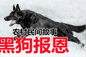 农村民间故事：老汉救了自己的兄弟，兄弟化身黑狗报恩视频封面