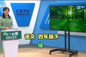 语文四年级下《绿》视频封面