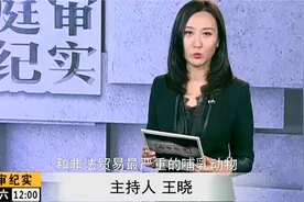 大爷出国捡到穿山甲鳞片，把它带回国，立马被判刑！视频封面