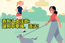 养狗人士注意！5月1日起遛狗不牵绳将违法，重则追究刑事责任