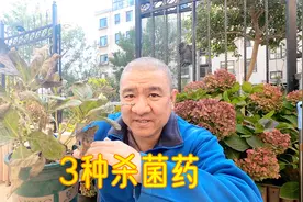 养花常用3种杀菌药：多菌灵、百菌清、恶霉灵，它们有什么不同？视频封面