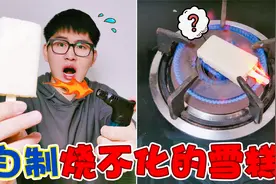 自制“烧不化的雪糕”！放到灶台上烤都没事，全是科技与狠活视频封面