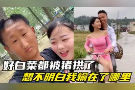 盘点那些好白菜被猪拱的名场面，真是想不明白，我到底输在哪里视频封面