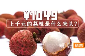 荔枝千元一斤不算贵？最贵55万一颗，增城挂绿凭啥卖出天价？视频封面