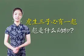 俗语：虎生三子，必有一彪，“彪”是什么，真的存在吗？