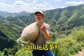 高山茶园山高路远，运送茶叶全靠肩扛，累得小伙直呼吃不消视频封面