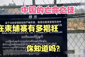 中国的亡命之徒在柬埔寨有多猖狂？外国官员都要认怂，别被骗了！视频封面