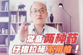 仔猪拉稀腹泻不用怕，这两种药配合，治疗仔猪拉稀花钱少效果好视频封面