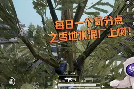 和平精英：不走门也能爬上宿舍楼房顶？教你在水泥厂上树！