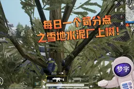 和平精英：不走门也能爬上宿舍楼房顶？教你在水泥厂上树！