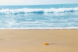 选择适合自己的生活，便是真正的幸福。