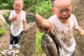 萌娃被爸爸带去钓鱼，结果玩得满身是泥，网友：全家吃鱼一人挨打视频封面