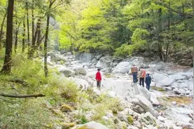欧洲惊现千年黄金湖，专家探险40年未果，淘金者离奇死亡引争议视频封面