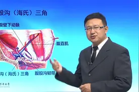 人体解刨学：3.9肌学—腹股沟管与腹股沟三角视频封面