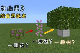 我的世界：一颗花？一束花？一棵树？