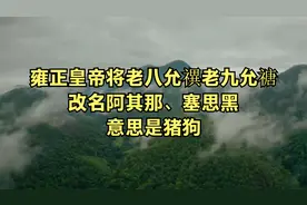 雍正皇帝将老八允禩老九允禟，改名阿其那、塞思黑，意思是猪狗