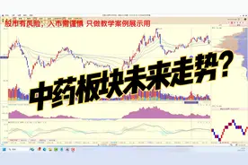 中药板块还有空间吗？（葵花药业案例分析）视频封面