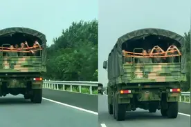 接亲路上偶遇兵哥哥，给新人花式送祝福：果然帅的都上交给国家了视频封面